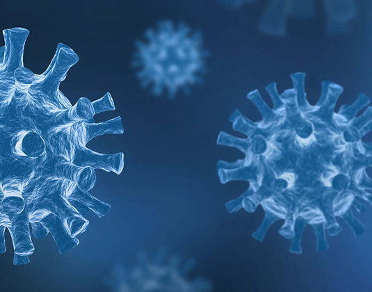 Recent Findings: Can CBD Prevent Infection and Treat Covid-19 Virus?