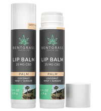 CBD Lip Balm<br><span>Palm</span>